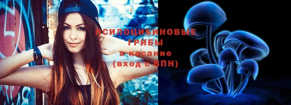 гидропоника Богородицк