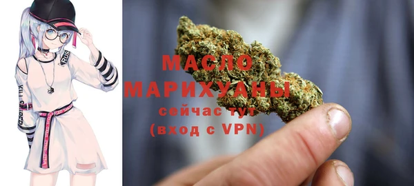 прущий лед Богданович