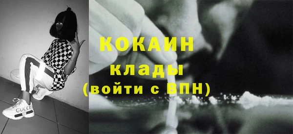 прущий лед Богданович