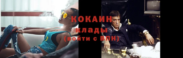 гидропоника Богородицк