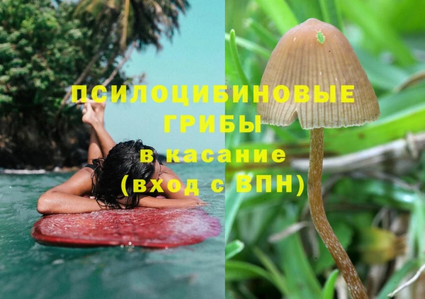 гидропоника Богородицк