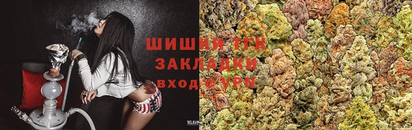 прущий лед Богданович