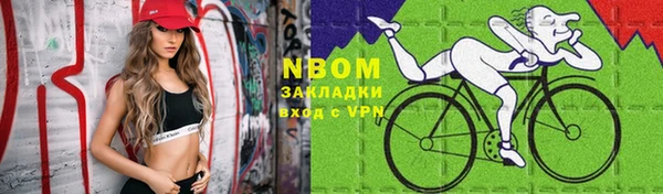 прущий лед Богданович